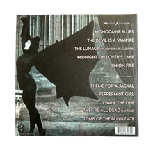 Load image into Gallery viewer, Blitzkid- RARITIES II LP