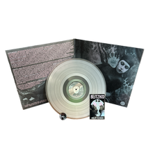 Load image into Gallery viewer, Blitzkid- RARITIES II LP