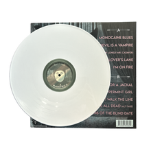 Load image into Gallery viewer, Blitzkid- RARITIES II LP