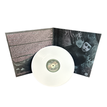 Load image into Gallery viewer, Blitzkid- RARITIES II LP