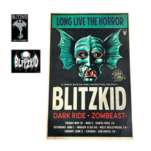 Load image into Gallery viewer, Blitzkid- LET FLOWERS DIE (Revamped) LP