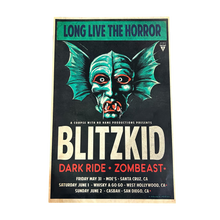 Load image into Gallery viewer, Blitzkid- LET FLOWERS DIE (Revamped) LP