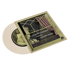 Load image into Gallery viewer, Blitzkid-AD NAUSEAM MEMORIAE 7" Vinyl