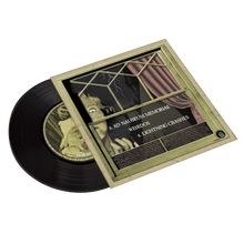 Load image into Gallery viewer, Blitzkid-AD NAUSEAM MEMORIAE 7" Vinyl