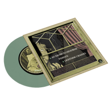 Load image into Gallery viewer, Blitzkid-AD NAUSEAM MEMORIAE 7" Vinyl