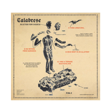 Load image into Gallery viewer, Blitzkid/Calabrese- UNHOLY ASSEMBLY Split LP